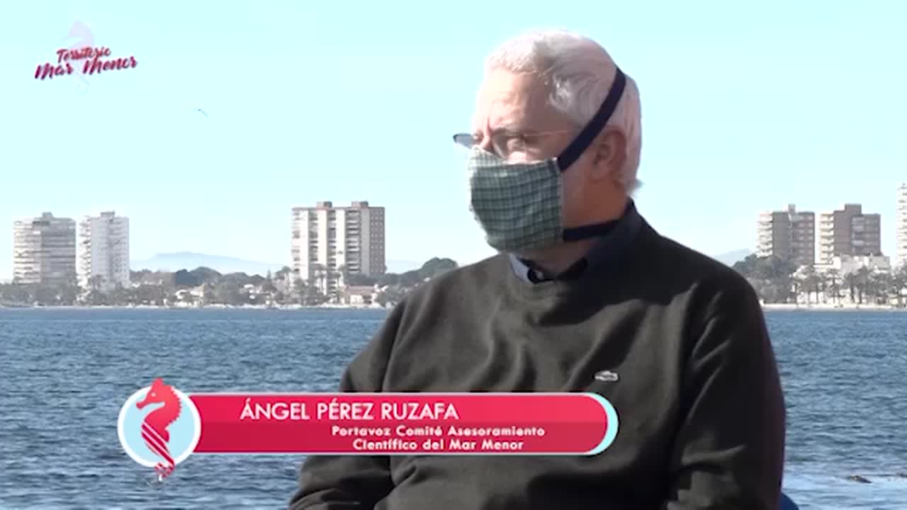 Territorio mar menor programa 2